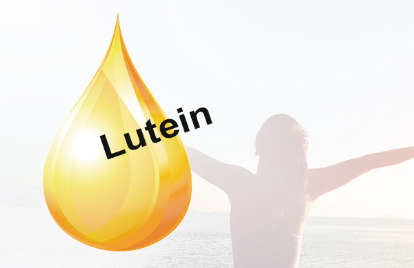 FitLine Lutein von PM International im Shop bestellen